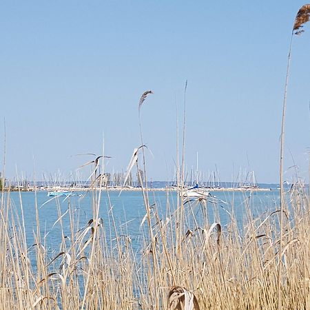 Coastline Balaton Apartment Альшоерш Екстер'єр фото